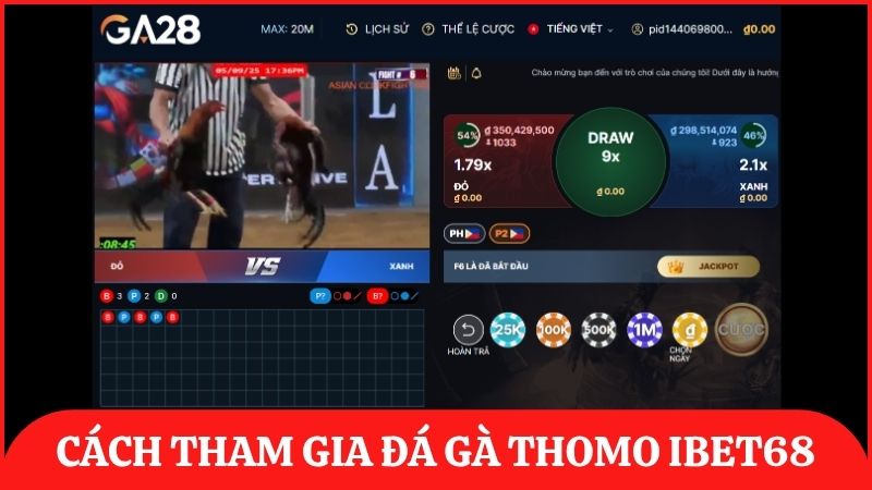 Các bước tham gia đặt cược đá gà trực tiếp Thomo tại ibet68 nhanh chóng