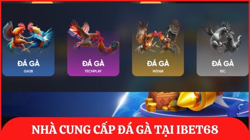 Nhà cung cấp đá gà trực tuyến uy tín trên ibet68 đảm bảo chất lượng